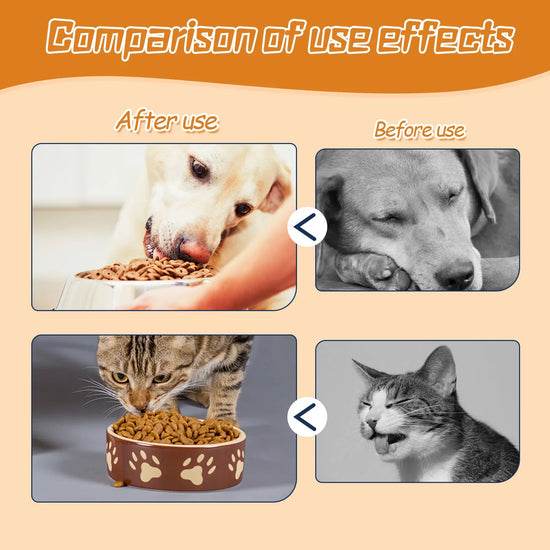 Pet Nutrition Supplement