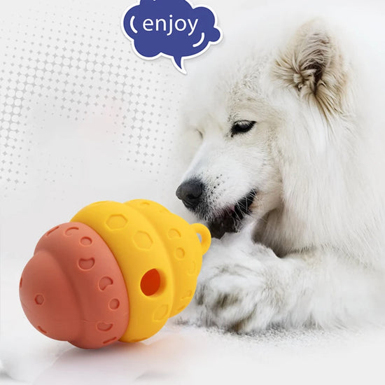 Nontoxic Bite Resistant Toy Ball for Pet