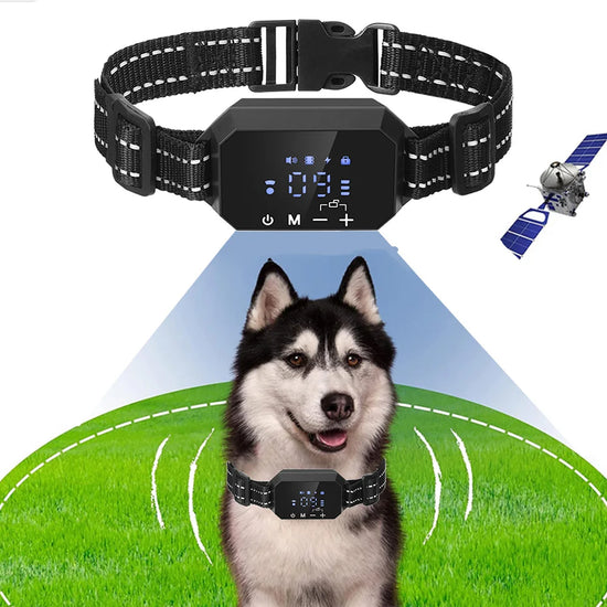 GPS Wireless Dog Fence Electric Shock