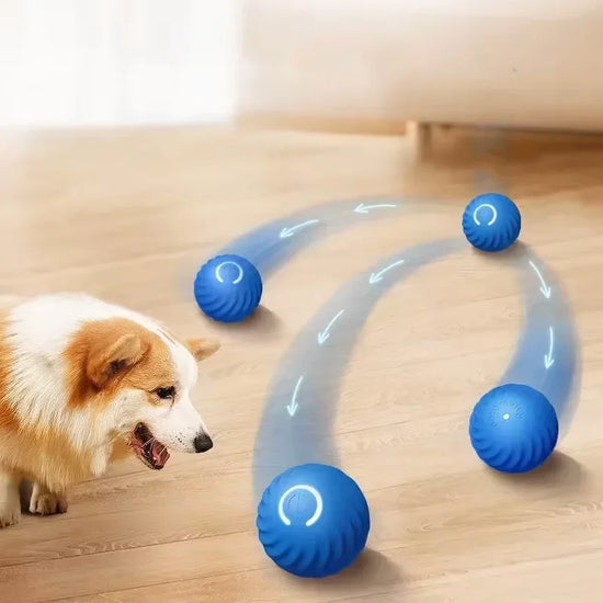 Rechargeable Smart Rolling Bal