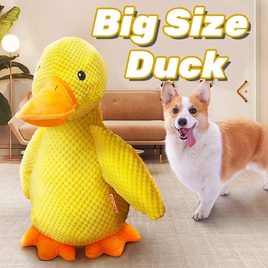 Stomping Duck Dog Toy