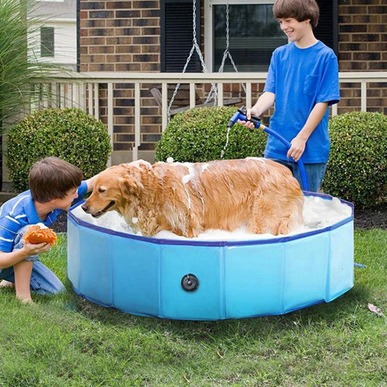 Foldable Dog Bath Plastic